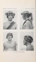 Picture 5 of 13 from Bulletin (1901), leaf 180