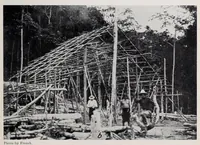 Picture 10 of 13 from Bulletin (1901), leaf 199