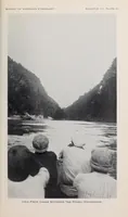 Picture 11 of 13 from Bulletin (1901), leaf 201