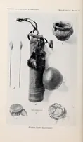 Picture 13 of 13 from Bulletin (1901), leaf 208