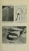 An illustration from Bulletin (1901)