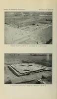 Picture 8 of 17 from Bulletin (1901), leaf 204
