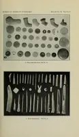 An illustration from Bulletin (1901)