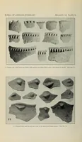 An illustration from Bulletin (1901)
