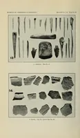 An illustration from Bulletin (1901)