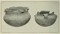 Picture 13 of 17 from Bulletin (1901), leaf 296