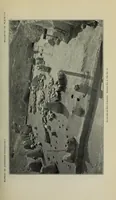 An illustration from Bulletin (1901)