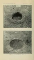 Picture 16 of 17 from Bulletin (1901), leaf 372
