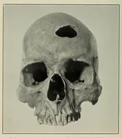 An illustration from Bulletin (1901)
