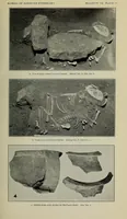 An illustration from Bulletin (1901)