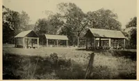 Picture 4 of 12 from Bulletin (1901), leaf 1041