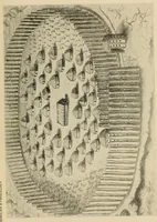 Picture 6 of 12 from Bulletin (1901), leaf 1059