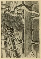Picture 8 of 12 from Bulletin (1901), leaf 1076