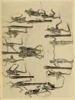 Picture 10 of 12 from Bulletin (1901), leaf 1095