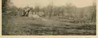 Picture 12 of 12 from Bulletin (1901), leaf 1109