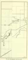 Picture 5 of 8 from Bulletin (1901), leaf 227