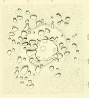 An illustration from Bulletin (1901)