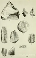 Picture 8 of 8 from Bulletin (1901), leaf 414