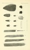 An illustration from Bulletin (1901)