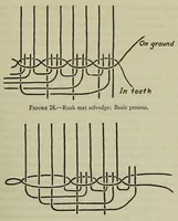 Picture 10 of 12 from Bulletin (1901), leaf 297