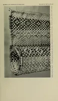 Picture 11 of 12 from Bulletin (1901), leaf 343