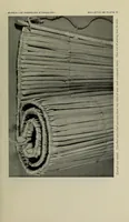 Picture 12 of 12 from Bulletin (1901), leaf 349