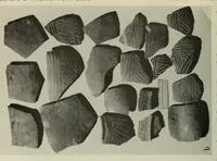 An illustration from Bulletin (1901)