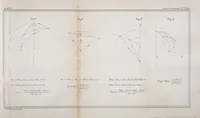 Picture 9 of 15 from Bulletin (1877), leaf 521