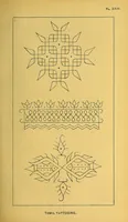 Picture 7 of 12 from Bulletin (1894), leaf 183