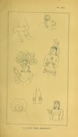 Picture 8 of 12 from Bulletin (1894), leaf 195