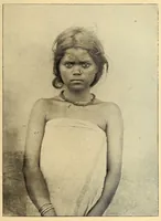 An illustration from Bulletin (1894)
