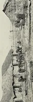 An illustration from Bulletin (1894)