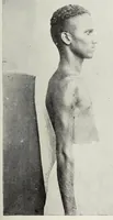 An illustration from Bulletin (1894)