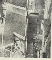 An illustration from Bulletin (1894)