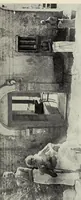 An illustration from Bulletin (1894)