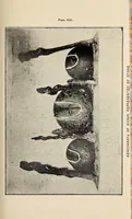Picture 14 of 17 from Bulletin (1894), leaf 175