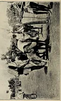 An illustration from Bulletin (1894)