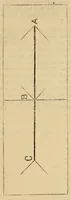 An illustration from Bulletin (1894)