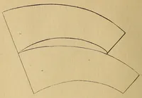 An illustration from Bulletin (1894)