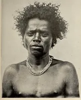 An illustration from Bulletin (1894)