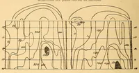 An illustration from Bulletin du Comité d'études historiques et scientifiques de l'Afrique occidentale française (1918)