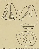 Picture 6 of 10 from Bulletin du Comité d'études historiques et scientifiques de l'Afrique occidentale française (1918), leaf 177