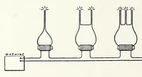 Picture 15 of 15 from Bulletin - United States National Museum (1877), leaf 418