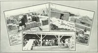 An illustration from Bungalows and cottages in Southern California. Presenting house and plans as built and streets and tracts as developed by the Los Angeles Investment Company (1909)