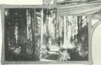 An illustration from Bungalows and cottages in Southern California. Presenting house and plans as built and streets and tracts as developed by the Los Angeles Investment Company (1909)