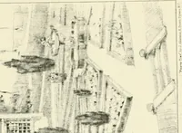 An illustration from Bungalows and country residences; a series of designs, and examples of executed works (1901)