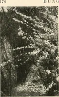 An illustration from Bungalows; their design, construction and furnishing, with suggestions also for camps, summer homes and cottages of similar character (1911)