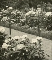 An illustration from Bungalows; their design, construction and furnishing, with suggestions also for camps, summer homes and cottages of similar character (1911)