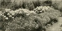 An illustration from Bungalows; their design, construction and furnishing, with suggestions also for camps, summer homes and cottages of similar character (1911)