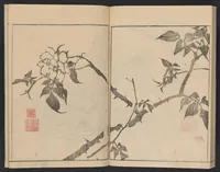 An illustration from Bunpō gafu : zen (1807)
